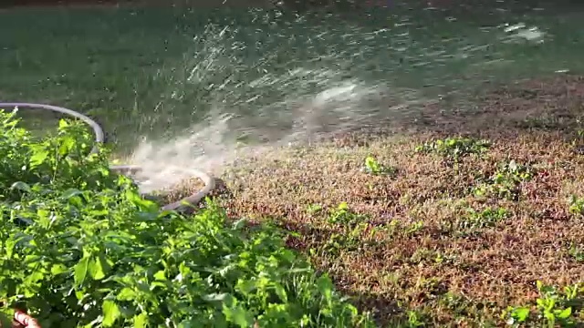 洒水车在花园里喷洒视频素材