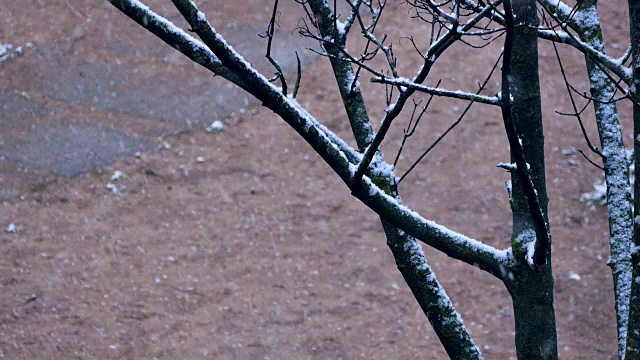 降雪在城市视频素材