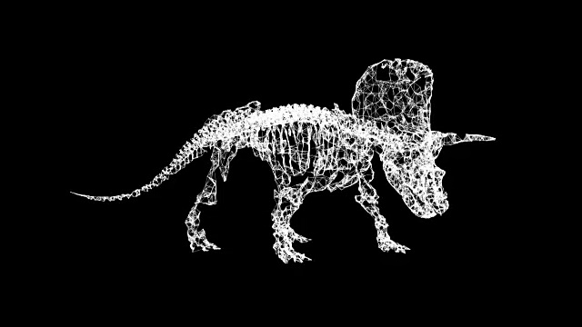 三角龙骨架丛结构。3d渲染视频素材