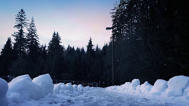 穿过公园的雪道视频素材