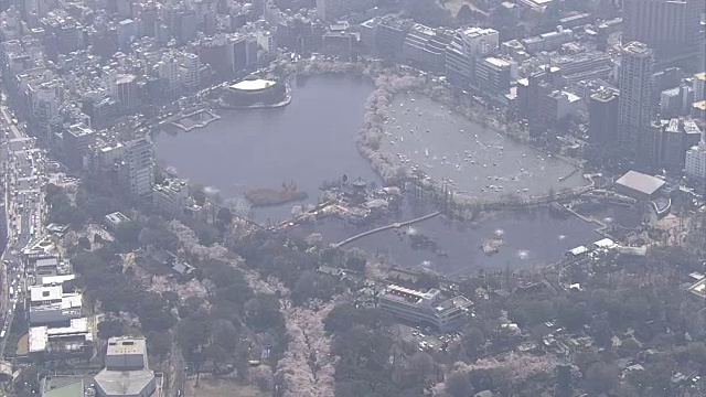 高空，上野公园的春天，东京，日本视频素材