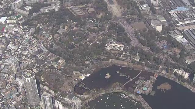 高空，上野公园的春天，东京，日本视频素材