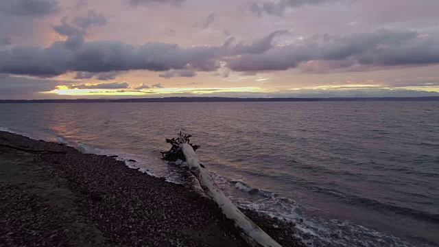 在日落海滩飞行的鸟的剪影生活概念视频素材