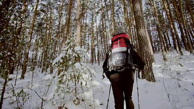 徒步旅行者在冬天进入森林的后视图。视频素材