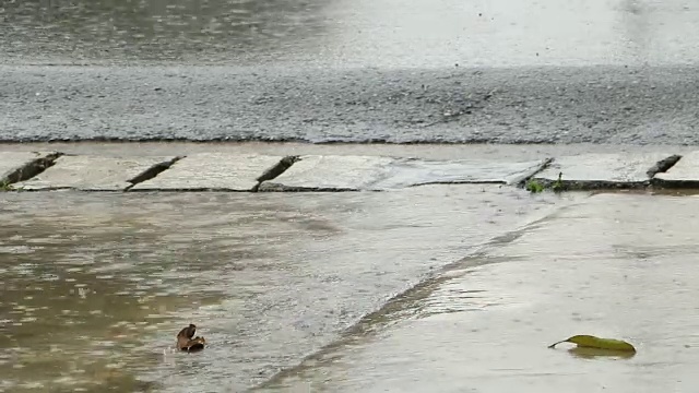 雨点溅落在柏油路上。视频素材