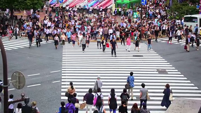 新宿是东京的商业区之一，许多国际公司的总部都设在这里。视频素材