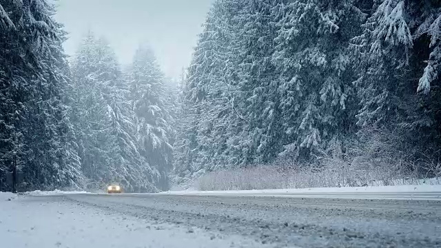 汽车在暴风雪中穿过森林视频素材