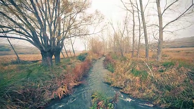 自然田园景观，桥梁和田野视频素材