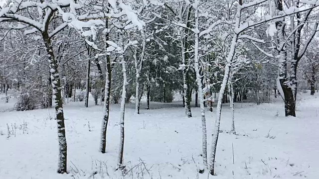 城市公园在下雪，下雪天视频素材