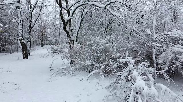 城市公园下雪了视频素材