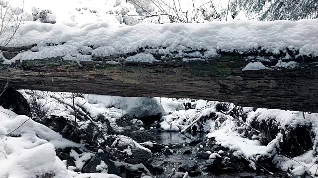 越过积雪的原木越过小溪视频素材