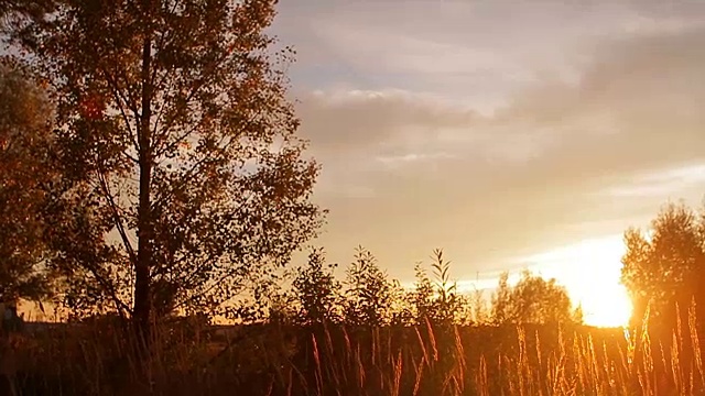 田野里美丽的夕阳。视频素材