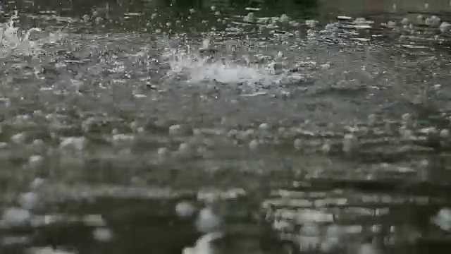 大雨。视频素材