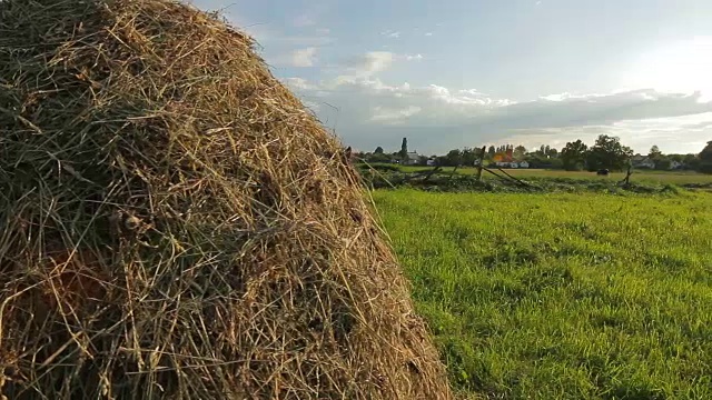 农场。干草。视频素材