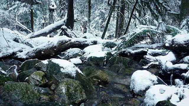 穿越雪域森林中的河流视频素材