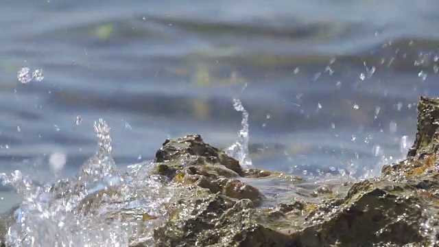 慢镜头特写:海浪冲击着覆盖着海藻的悬崖视频素材