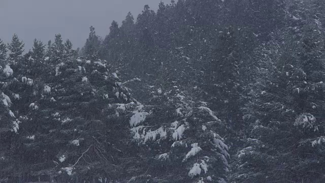 山上的雪视频素材