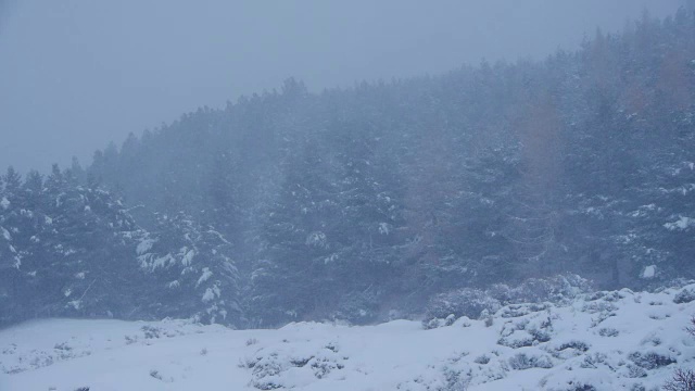 严重的暴风雪视频素材