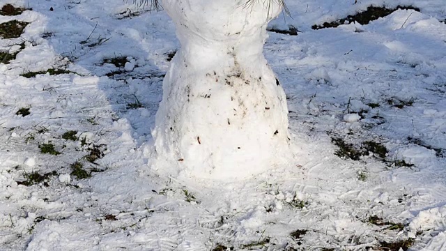 冬天的雪人视频素材