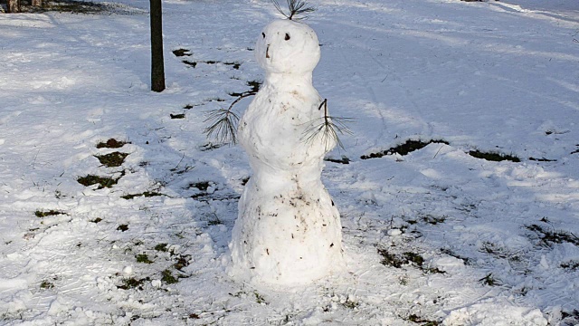 冬天的雪人视频素材