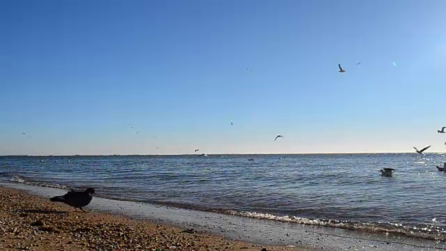 海洋景观视频素材