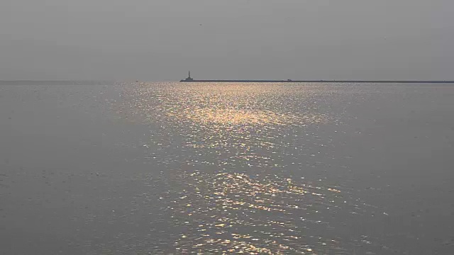 天空中有海鸥。视频素材