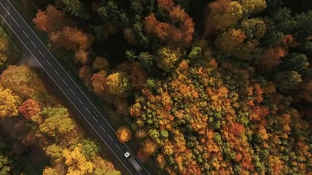 乡间小路和秋天的森林视频素材