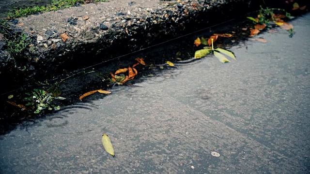 雨在秋天。雨滴落在水泥路面上视频素材