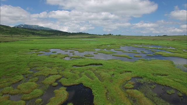 无人机拍摄的乌尤努马湿地视频素材