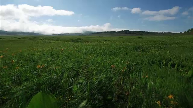 无人机拍摄的乌尤努马湿地视频素材