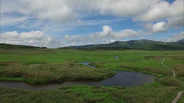 无人机拍摄的乌尤努马湿地视频素材