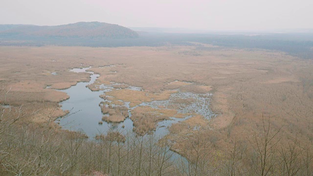 日本北海道钏路细根国家公园，4K拍摄视频素材