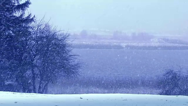 湖边下着雪视频素材