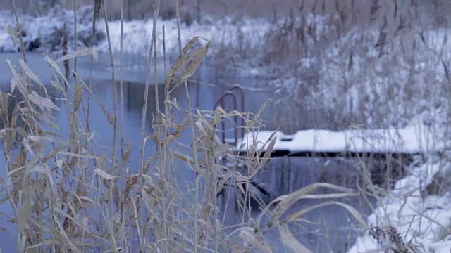 冬湖上的芦苇、藤条视频素材