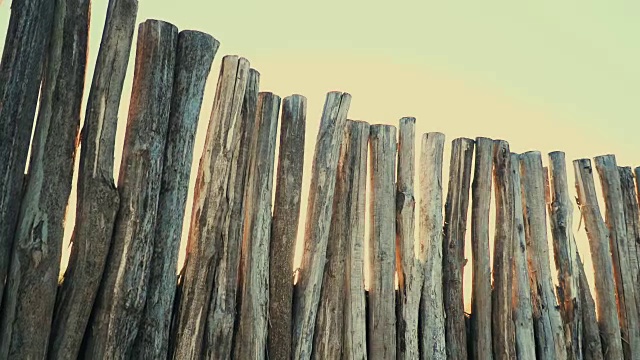 木栅栏从大树干，在夕阳与太阳耀斑的背景视频素材