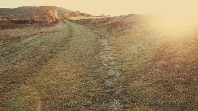 冬天的草地小路，右边是日落视频素材