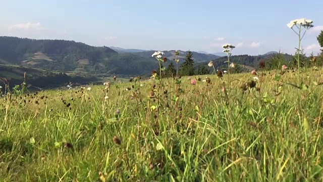 美丽的山川风光视频素材