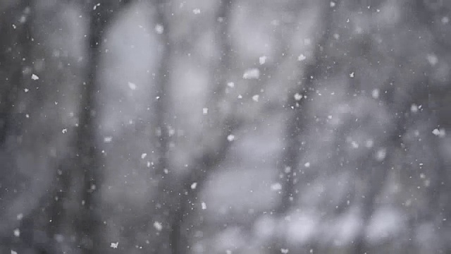 大雪期间的雪花视频素材