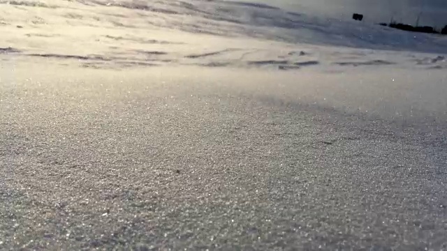 飘雪的特写镜头。冬天背景上的雪风。暴风雪视频素材