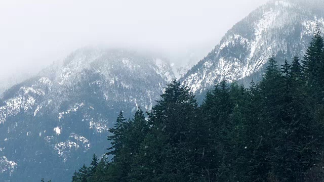 山野中的暴风雪视频素材