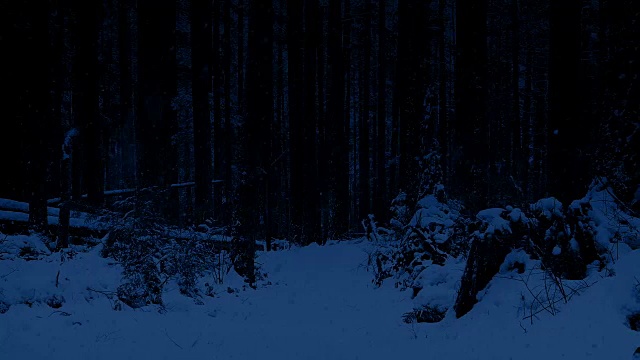 夜间穿越积雪森林的小路视频素材