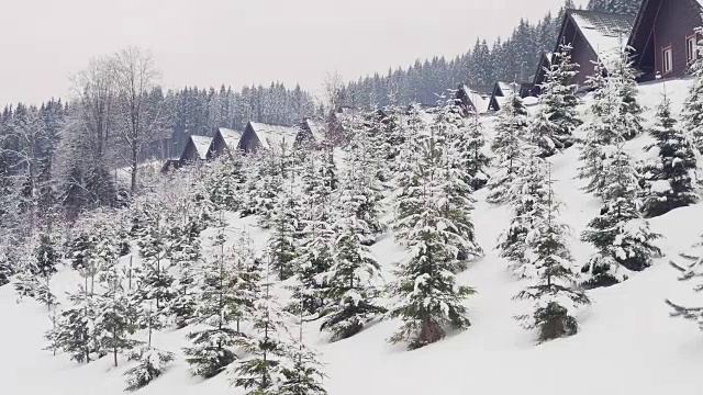 年轻女子穿着鲜艳的冬装站在外面。白雪森林的背景。焦点从女性转向森林。视频素材