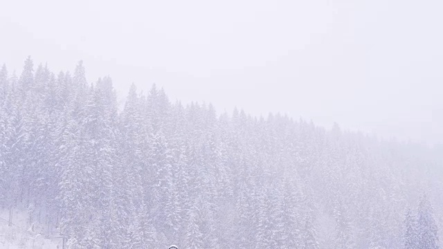 冬天森林里的树木在暴风雪中被冻住了视频素材