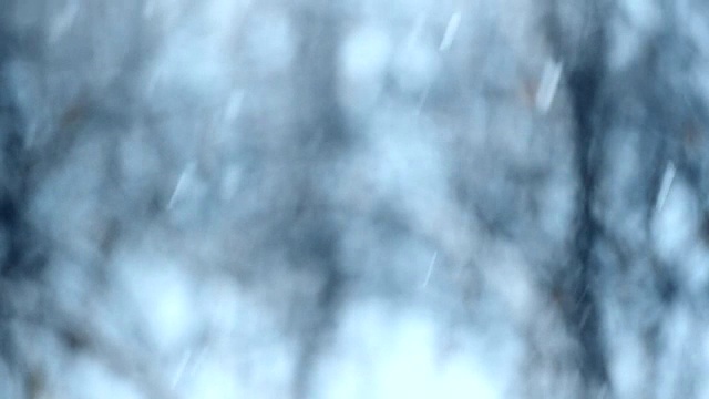 雪花飘落在树木模糊的背景上视频素材