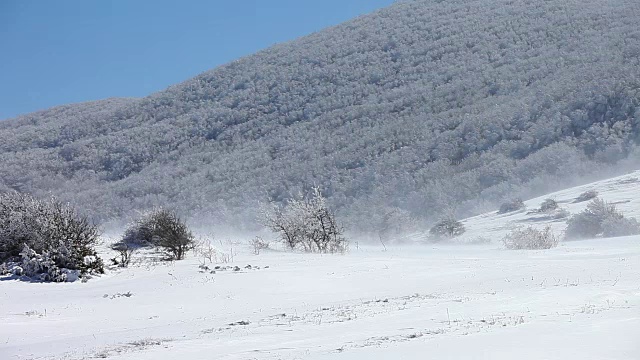 山里的暴风雪视频素材