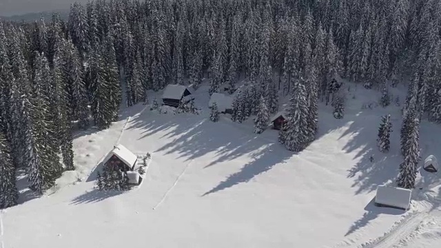 鸟瞰图:冬季田园诗般的滑雪胜地、高山房屋和茂密的森林视频素材