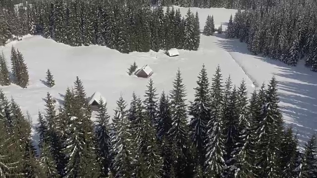 冬季，在雪白的飞机上，在茂密的云杉林中的阿尔卑斯房屋视频素材