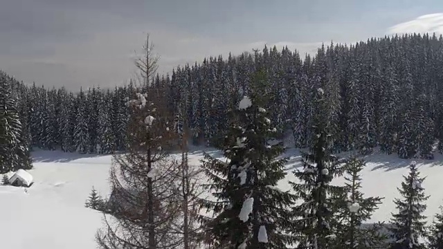 这是冬天白雪覆盖的山坡上茂密的云杉林中的高山小屋视频素材