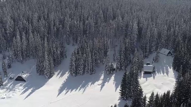 鸟瞰图:冬季被茂密的森林包围的田园诗般的滑雪度假村视频素材