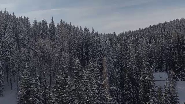 天线:冬天，在白雪皑皑的山坡上，在茂密的云杉林中的高山房屋视频素材